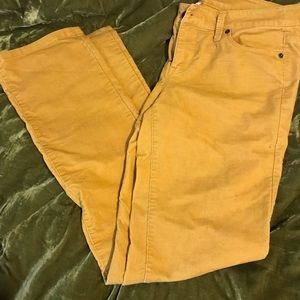 Size 4/27 Loft cords in a mustard yellow color.